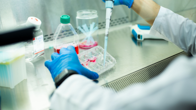 Cell therapy manufacturing quality control